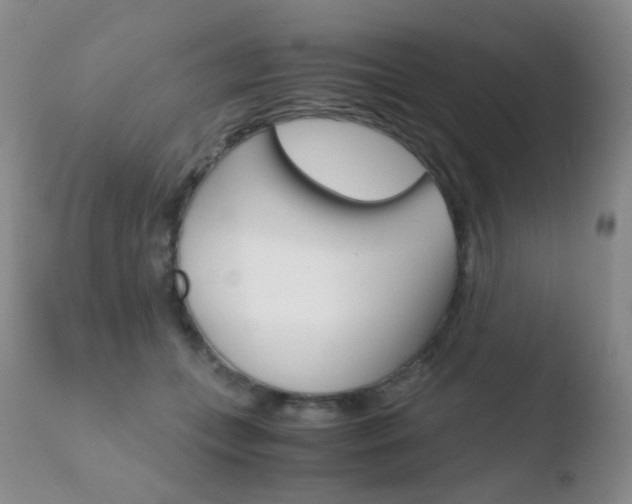 X0000110730559200906121313
