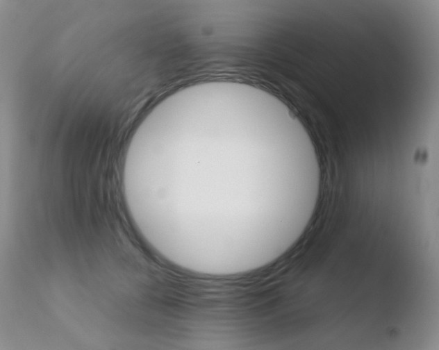 X0000110730560200906121313
