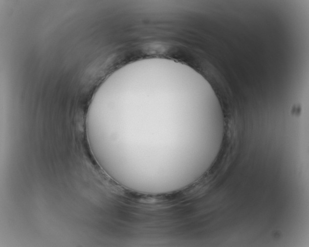 X0000110730561200906121313
