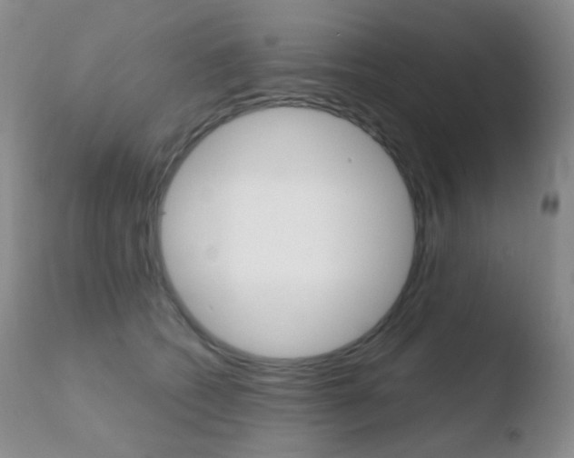 X0000110730562200906121313