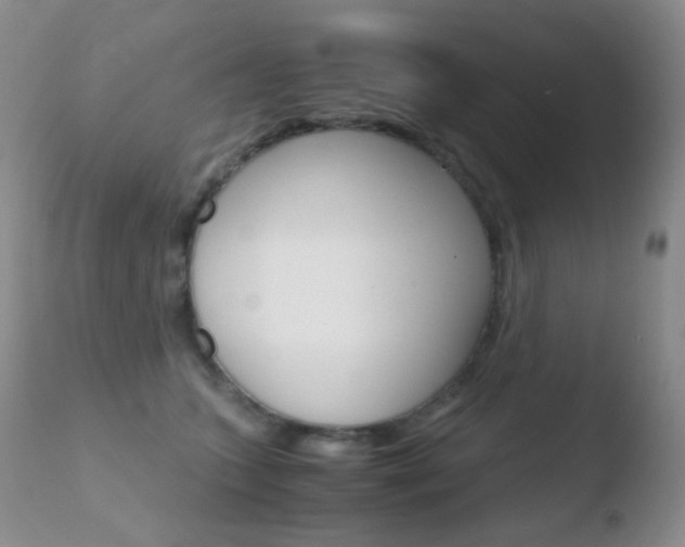 X0000110730563200906121313