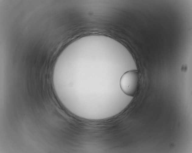 X0000110730564200906121313