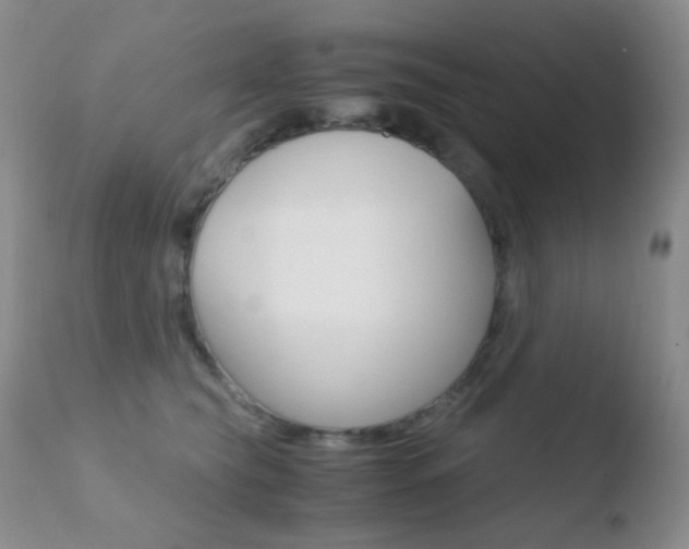 X0000110730565200906121313