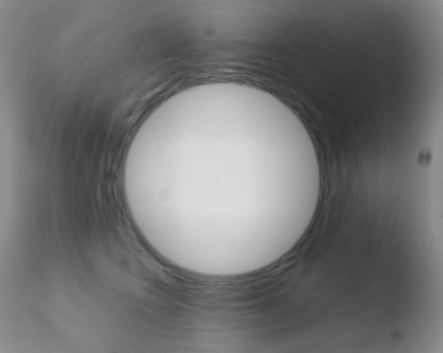 X0000110730566200906121313