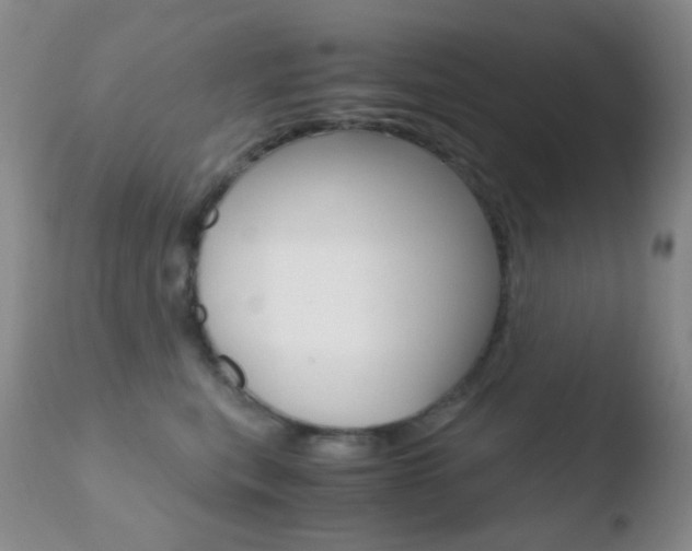 X0000110730567200906121313