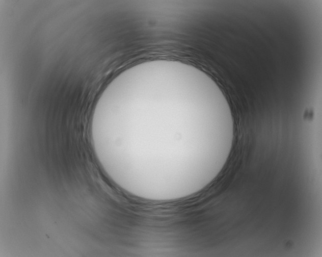 X0000110730568200906121313