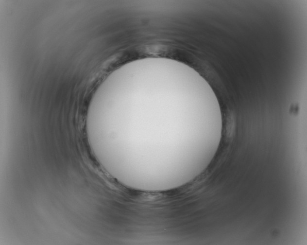 X0000110730569200906121313