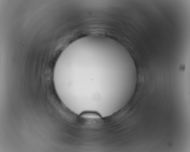 X0000110730571200906121313