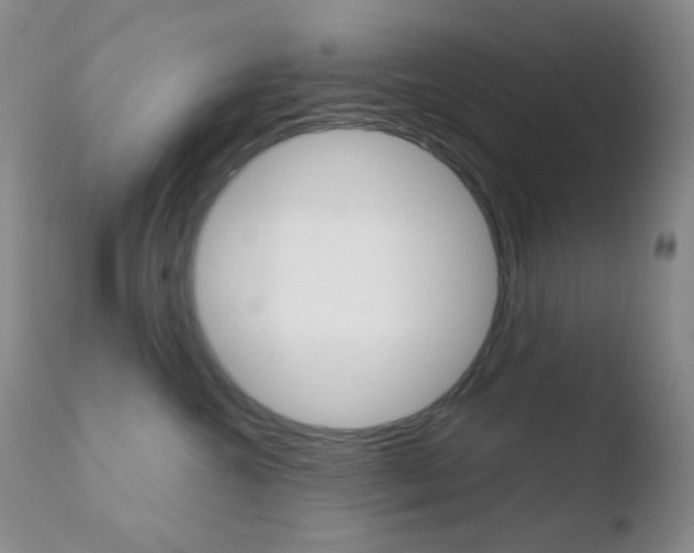 X0000110730572200906121313