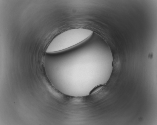 X0000110730574200906121313