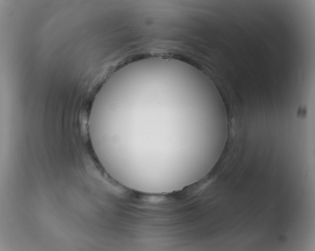 X0000110730575200906121313