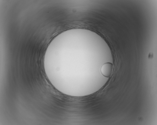 X0000110730576200906121313