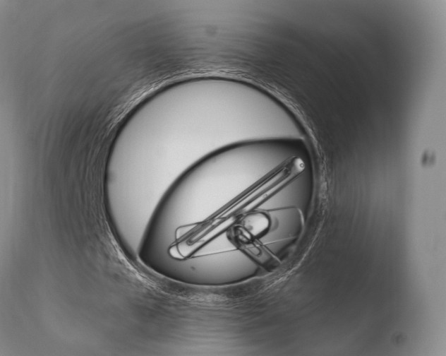 X0000110730577200906121313