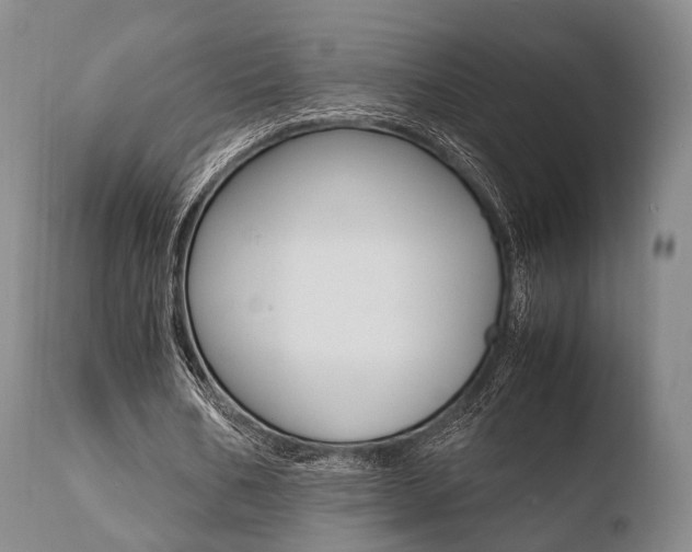 X0000110730578200906121313