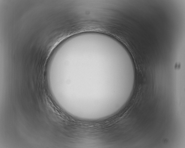 X0000110730579200906121313