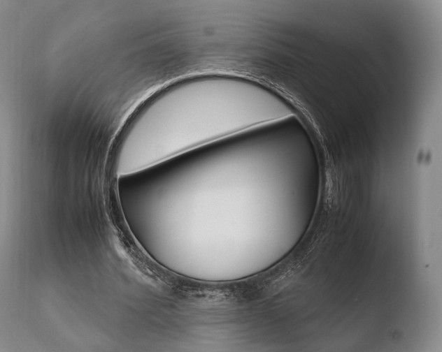 X0000110730580200906121313