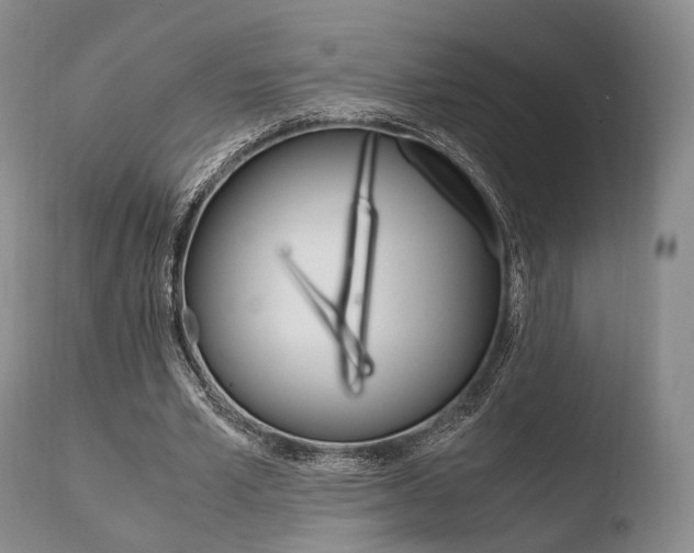 X0000110730581200906121313