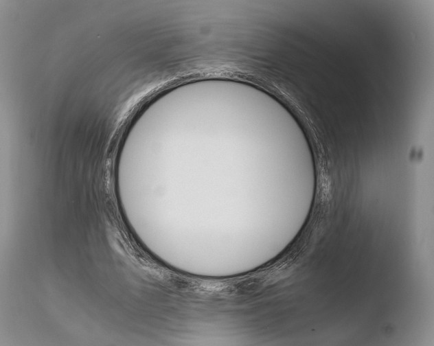 X0000110730583200906121312