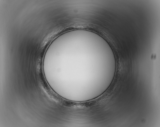X0000110730586200906121312