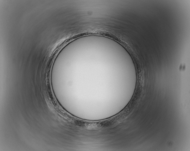 X0000110730587200906121312