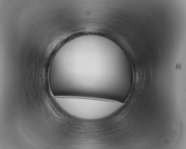 X0000110730588200906121312