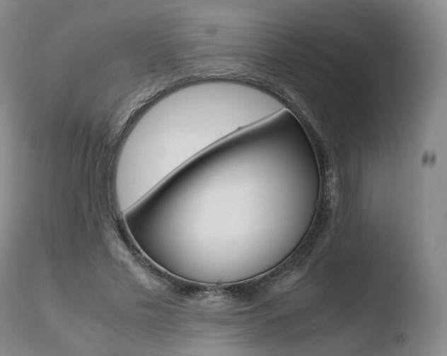 X0000110730589200906121312