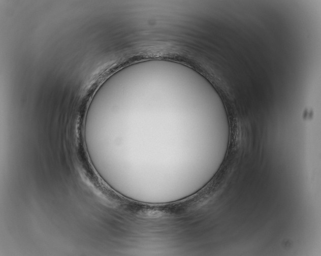 X0000110730590200906121312