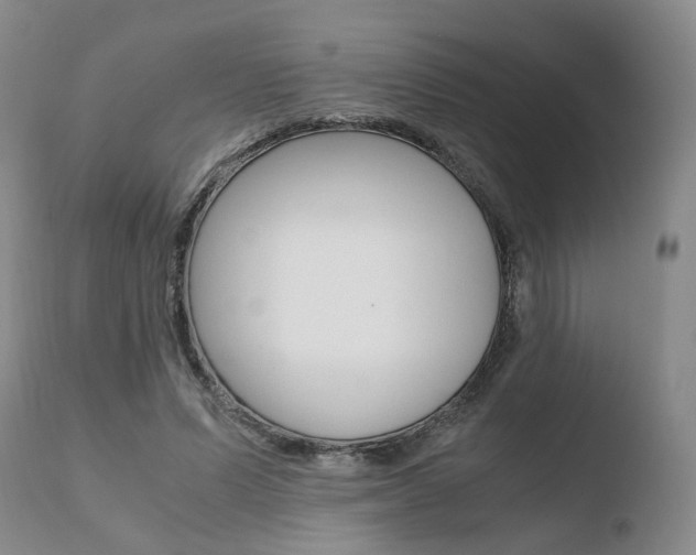 X0000110730591200906121312