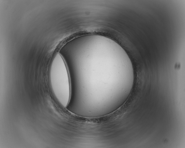 X0000110730592200906121312