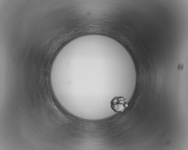 X0000110730593200906121312