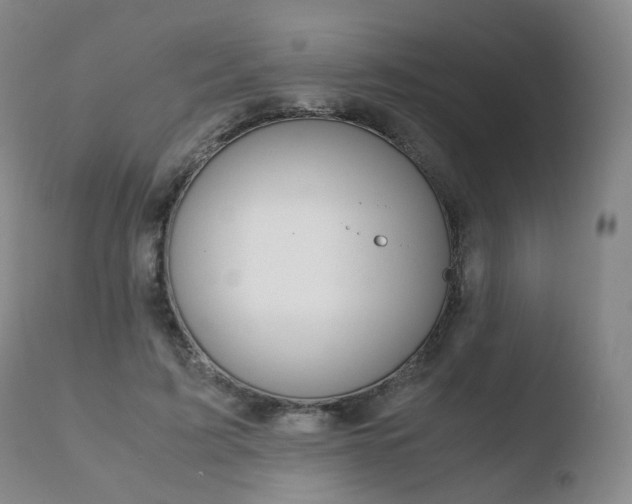 X0000110730595200906121312