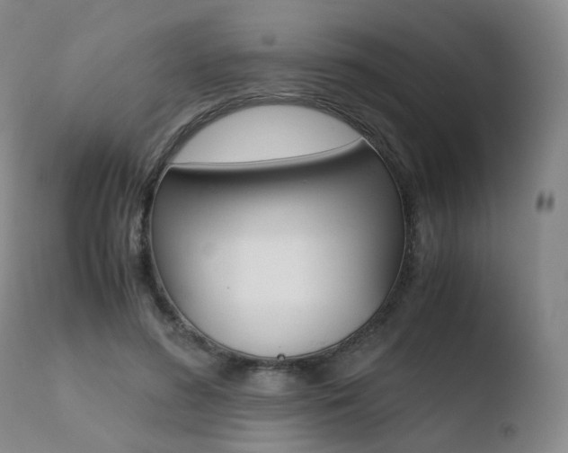 X0000110730596200906121312