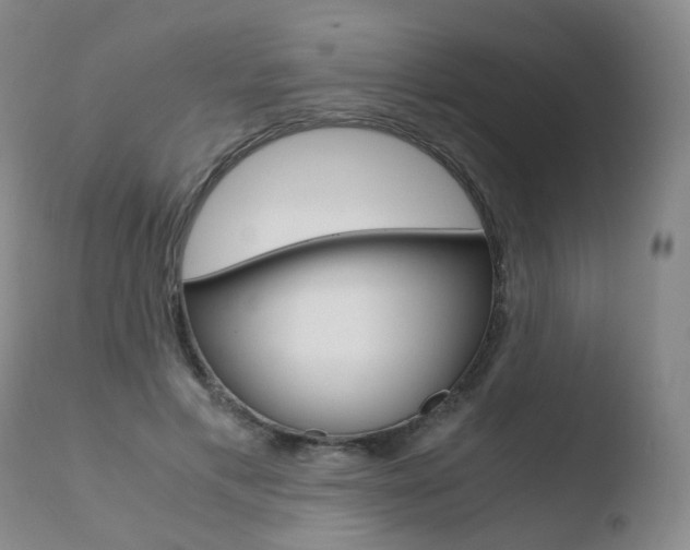 X0000110730597200906121312