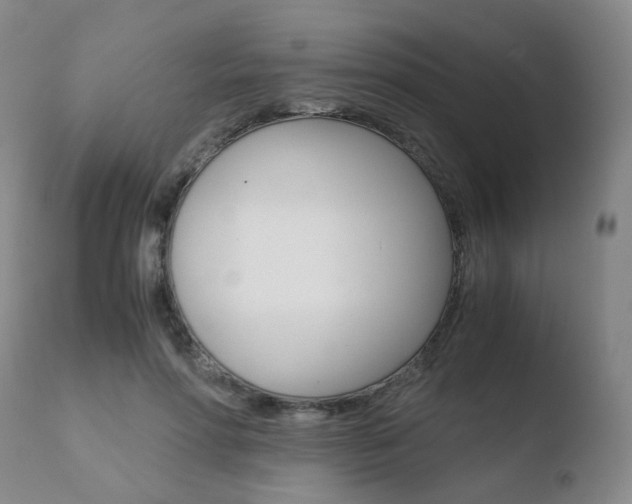 X0000110730598200906121312