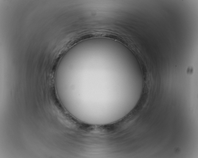 X0000110730601200906121312