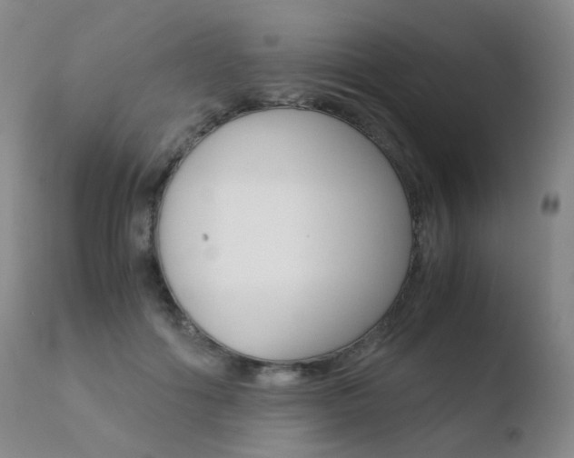 X0000110730602200906121312