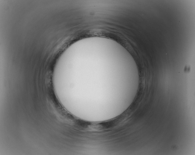 X0000110730603200906121312
