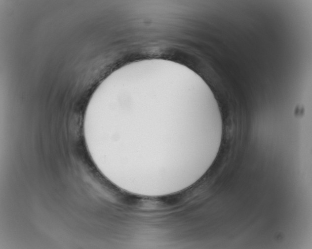 X0000110730605200906121312