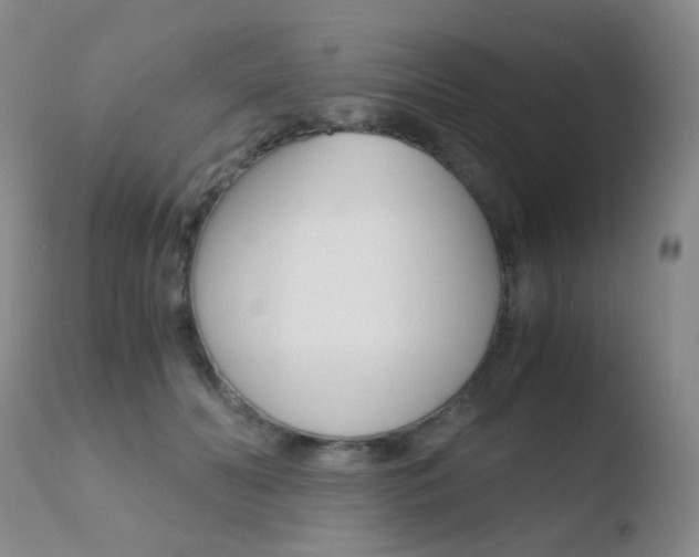 X0000110730606200906121312