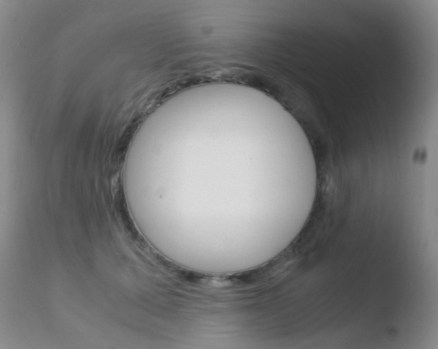X0000110730607200906121312
