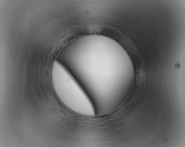 X0000110730608200906121312