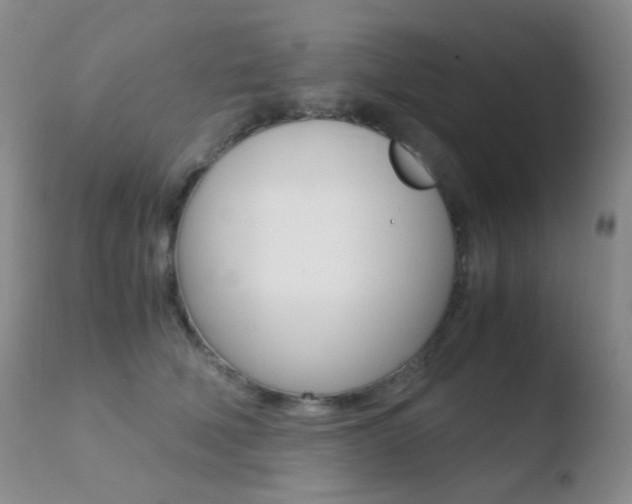X0000110730610200906121312