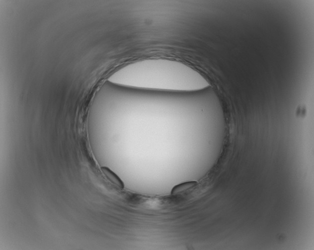 X0000110730611200906121312