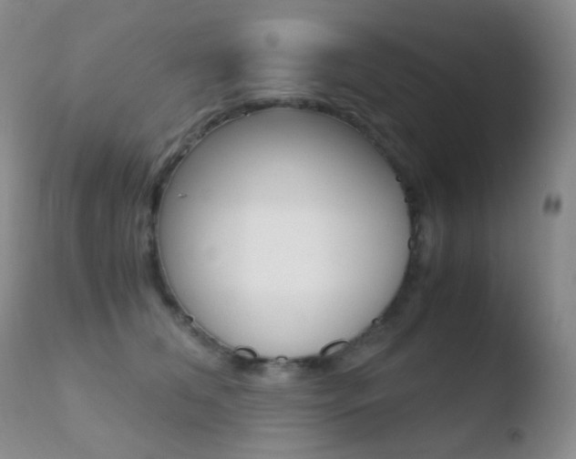 X0000110730612200906121312