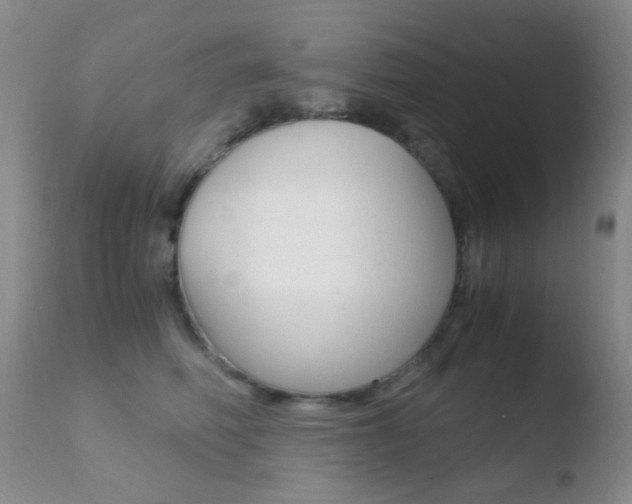 X0000110730614200906121312