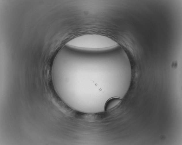 X0000110730615200906121312