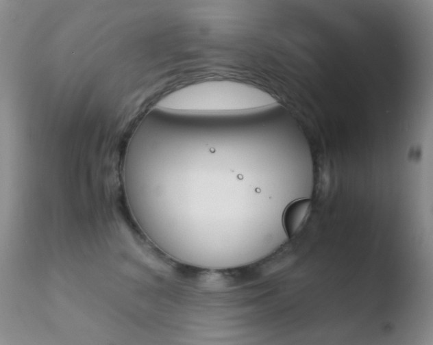 X0000110730616200906121312