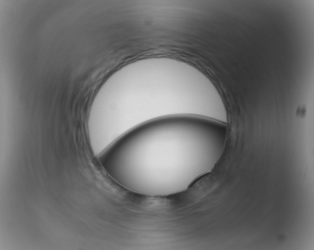 X0000110730617200906121312