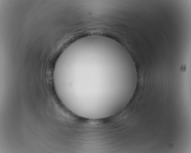 X0000110730619200906121312