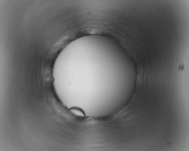 X0000110730620200906121312